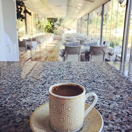 Hotel Berg 3*