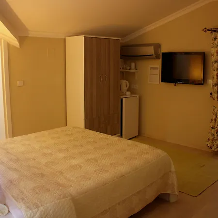 Berg Hotel 3*