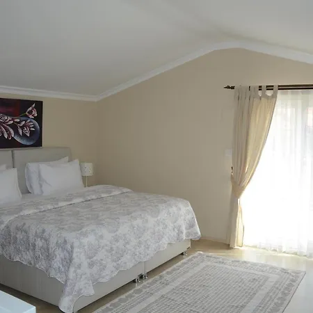 Berg Hotel 3*