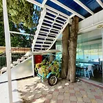 Berg Hotel